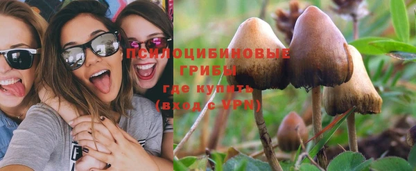 прущие крисы Гусь-Хрустальный